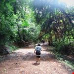 Dudhsagar Falls